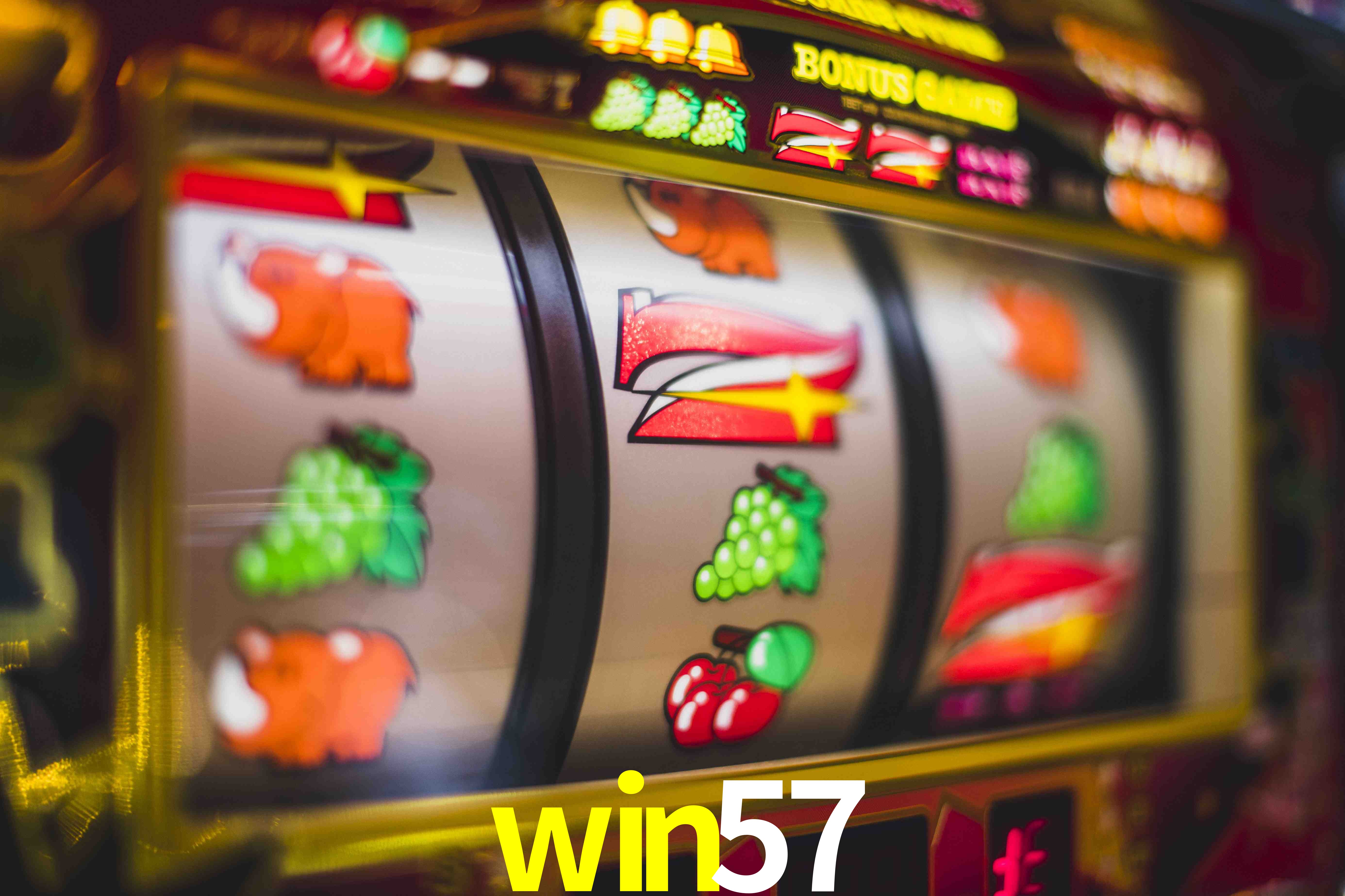 Tennis Betting win57